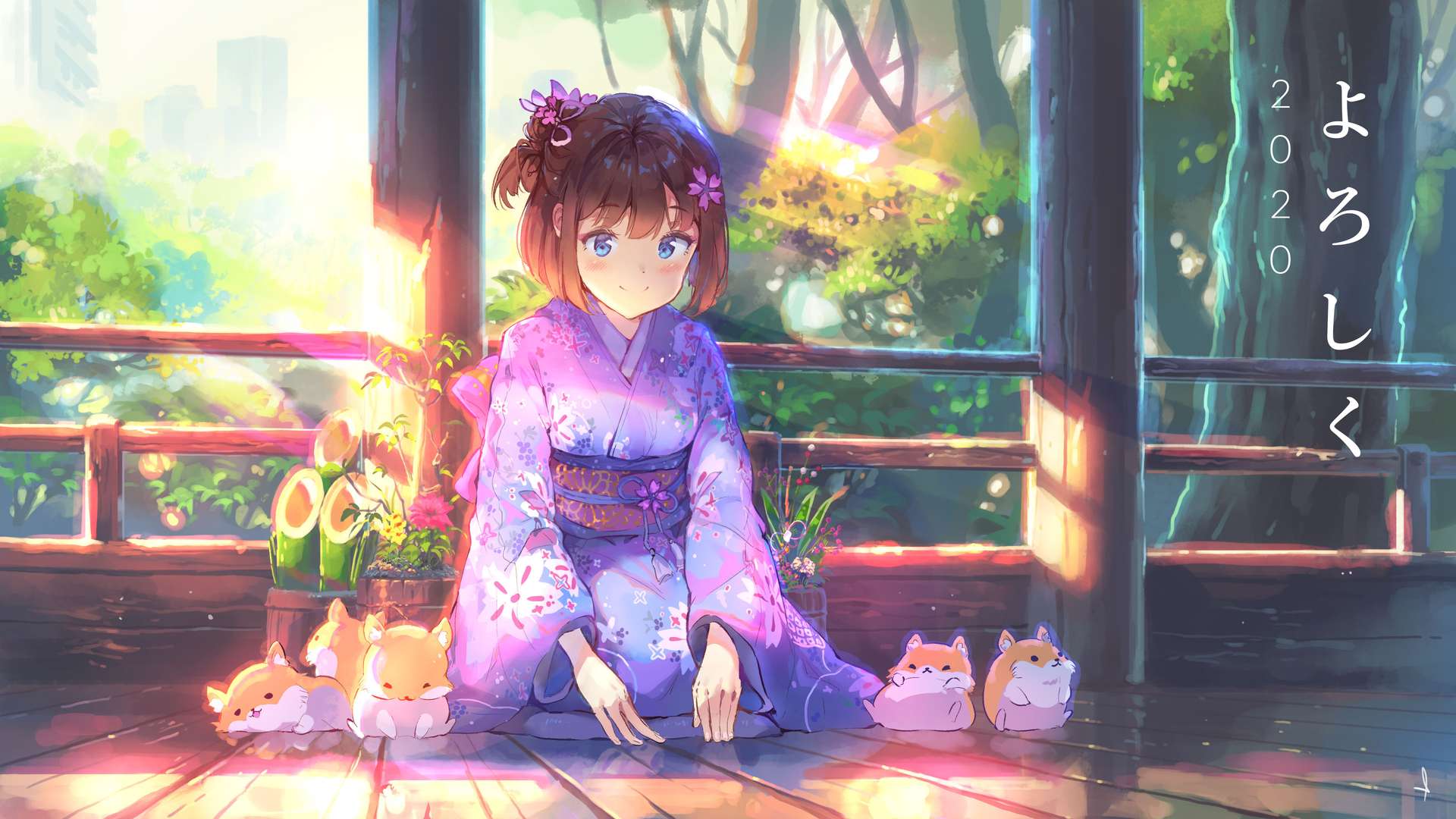 boxmoe_header_banner_img